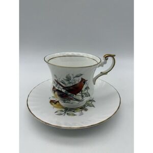 Vintage Queens Rosina Birds of America Red Cardinal Cup & Saucer